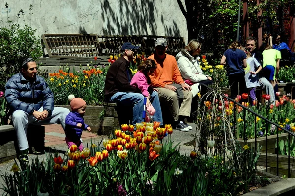 Нью-Йорк: People iin Tulip Garden — стоковое фото