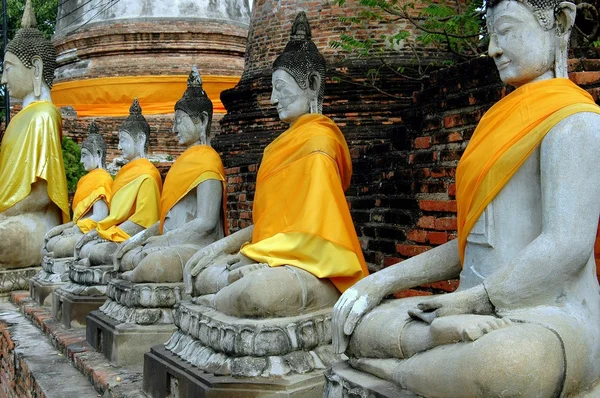 Ayutthaya, Thaïlande : Bouddhas à Thai Wat — Photo