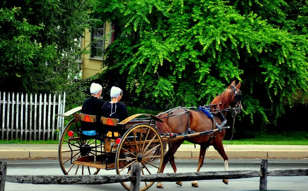 Intercourse, Pennsylvania:  Amish Women Riding in Buggy — Stock Photo, Image