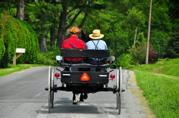 Lancaster County, PA: Two Amish Ben Riding in Buggy — Stock Photo, Image