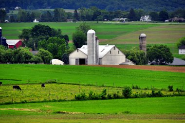 Strasburg, PA: Amish Farm and Fields