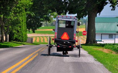 Lancaster County, PA:  Amish Buggy