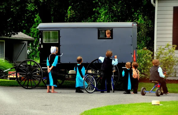 Lancaster County, PA: Amish Children and Buggy — Stockfoto