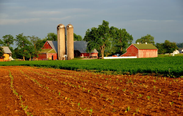 Lancaster County, PA: Amish Farm