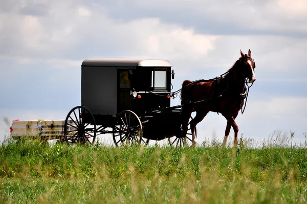 Lancasterin piirikunta, PA: Amish Horse and Buggy — kuvapankkivalokuva