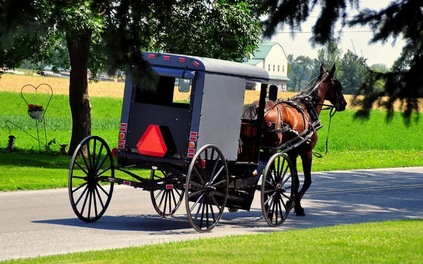 Lancaster County, PA: Amish Buggy — 스톡 사진