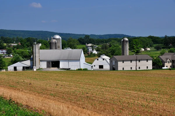 Lancaster County, PA: Amish Farm — Stock Photo, Image