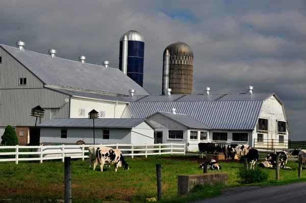 Condado de Lancaster, PA: Amish Farm — Fotografia de Stock