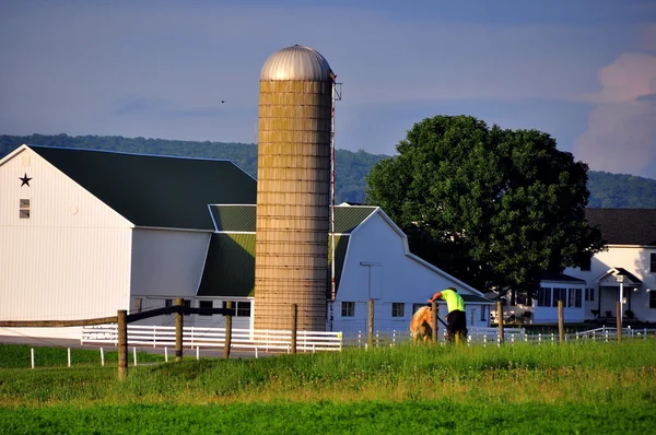 Lancaster County, PA: Amish Farm — Stock Photo, Image