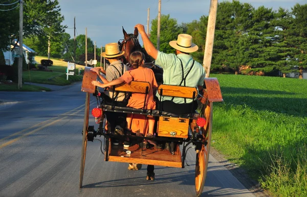 Contea di Lancaster, PA: Amish Family Riding in Buggy — Foto Stock