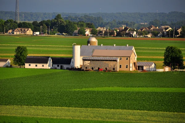 Округ Фастер, Пенсильвания: Ферма Амиш — стоковое фото
