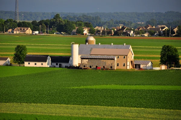 Condado de Lancaster, PA: Amish Farm — Fotografia de Stock