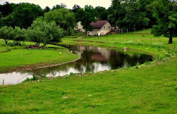 Ronks, Pennsylvania: Pastoral Farmlands and Stream — Stock Photo, Image