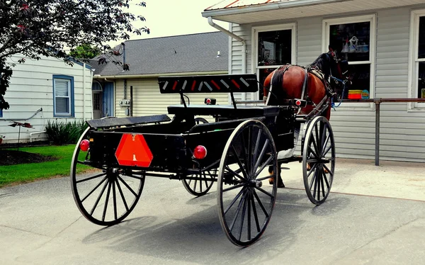 Condado de Lancaster, PA: Amish Buggy — Fotografia de Stock