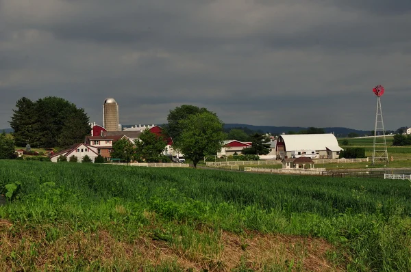 Lancaster County, PA: Amish Farm — Stock Photo, Image
