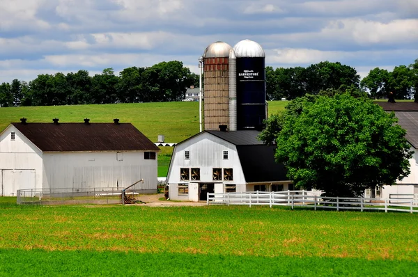 Lancaster County, Pa: Amish çiftlik — Stok fotoğraf