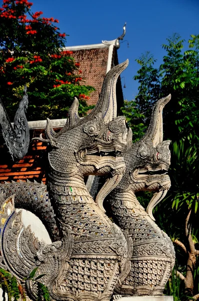 Chiang Mai, Thailand: Wat Chedi Luang Nagas — Stockfoto