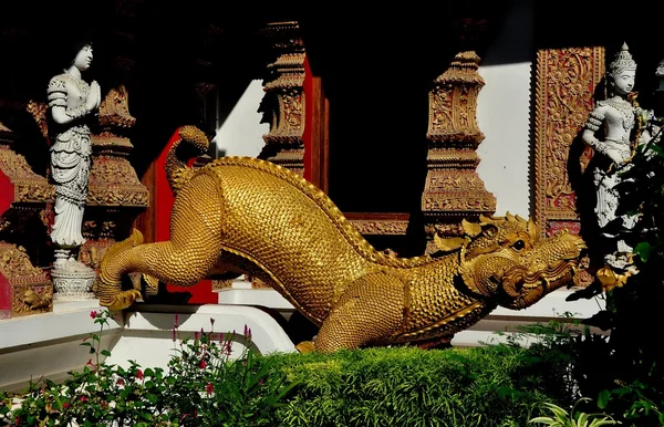 Chiang Mai, Thailand: Wat Bupparam Dragon — Stockfoto