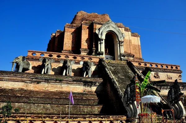 Chiang Mai, Thailand:Wat Chedi Luang Stockbild