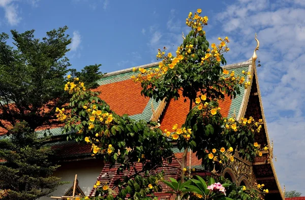 Chiang Mai, Thailand: Wat Chiang Mun – stockfoto