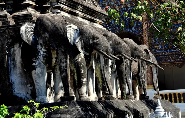 Chiang Mai, Tailandia: Elefantes Wat Chiang Mun —  Fotos de Stock