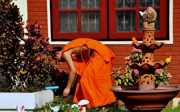 Chiang Mai, Thailand: Monk At Wat Parpowrai — Stok fotoğraf