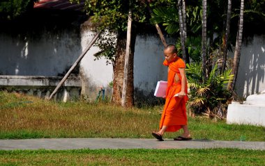 Chiang Mai, Thailand: Young Monk at Wat Suan Dok