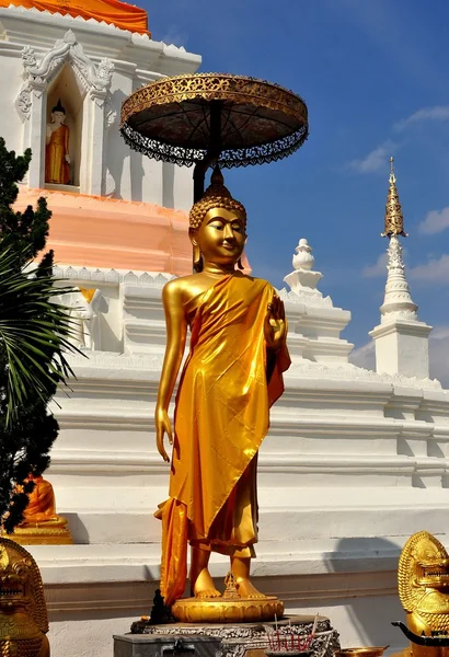 Chiang Mai, Thailand: Buddha at Wat Changkam — Zdjęcie stockowe