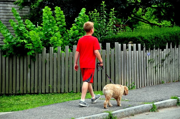 Sandwich, MA: Teenager Walking His Dog — Stock Photo, Image