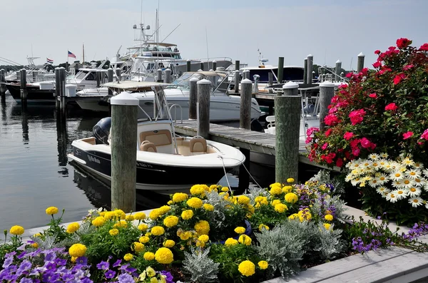 Osterville, MA: Boats at Osterville Marina — Stok fotoğraf