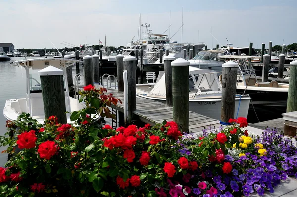Osterville, Massachusetts: Luxury Boats at Marina — Stok fotoğraf