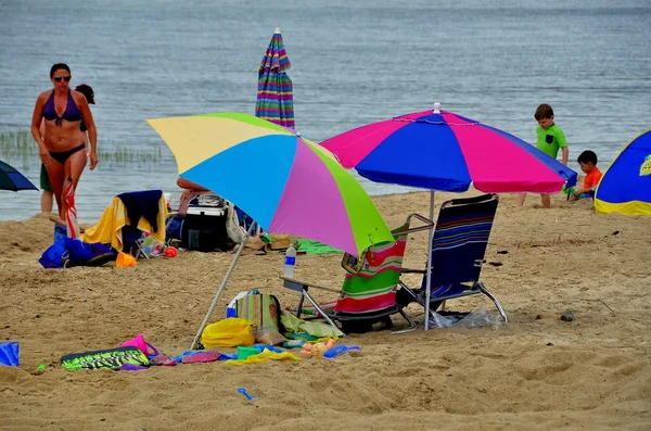 Brewster, MA: Umbrellas on Corporation Beach
