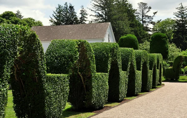 Portsmouth, Ri: Green dieren Topiary tuinen — Stockfoto