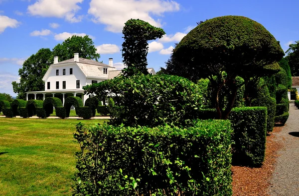 Portsmouth, Ri: Zelená zvířata Topiary zahrady — Stock fotografie