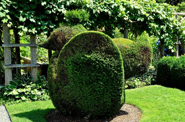 Portsmouth, Ri: Zielony zwierzęta Topiary ogród — Zdjęcie stockowe