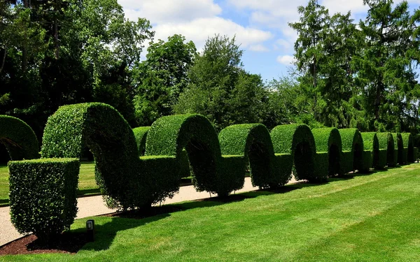 Портсмут, Ri: Зелений тварин Topiary сади — стокове фото