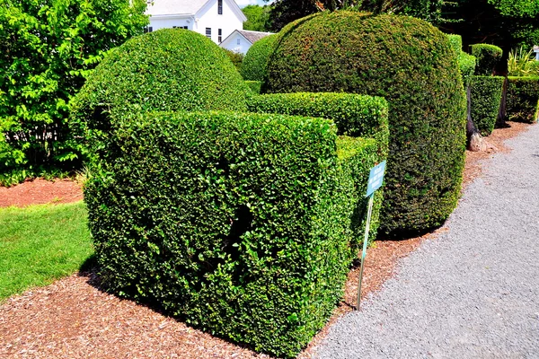 Portsmouth, Ri: Zielony zwierzęta Topiary ogród — Zdjęcie stockowe