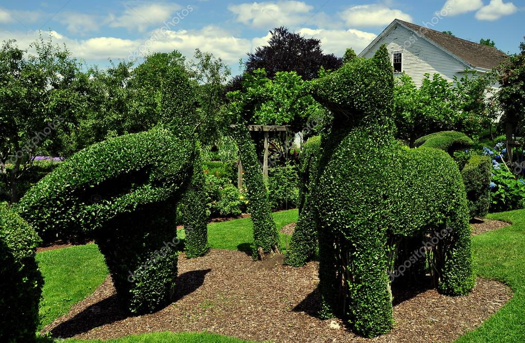 Portsmouth, RI Green Animals Topiary Gardens Stock Editorial Photo
