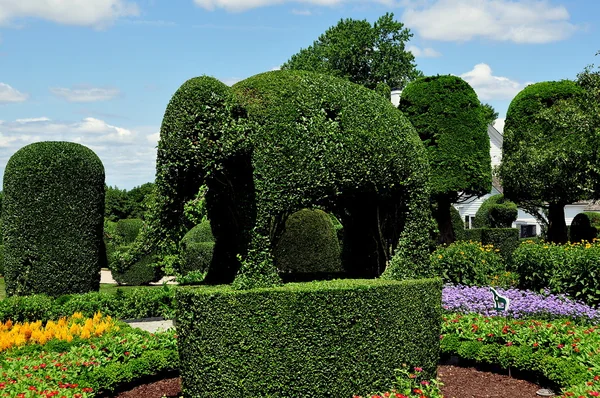 Portsmouth, Ri: Zielony zwierzęta Topiary ogród — Zdjęcie stockowe