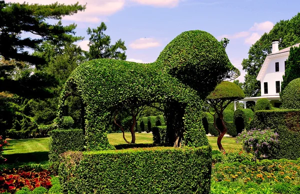 Портсмут, Ri: Зелений тварин Topiary сади — стокове фото