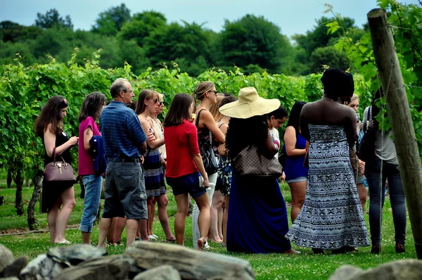 Middletown, RI: Visitors Touring Vineyard — Stock Photo, Image