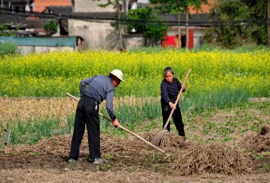 Pengzhou, China: Couple Farming in Field