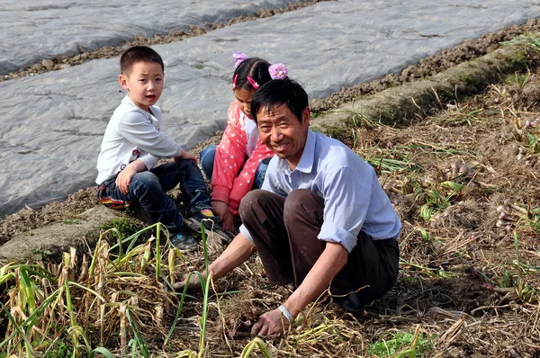 Pengzhou, China: Farmer in Field with Children — Zdjęcie stockowe