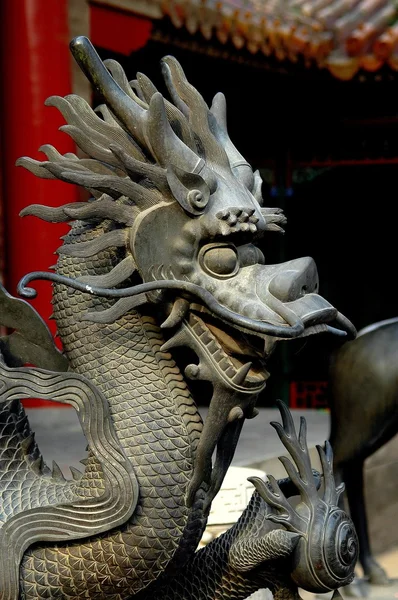 Beijing, Chiny: Dragon rzeźby w Zakazane Miasto — Zdjęcie stockowe