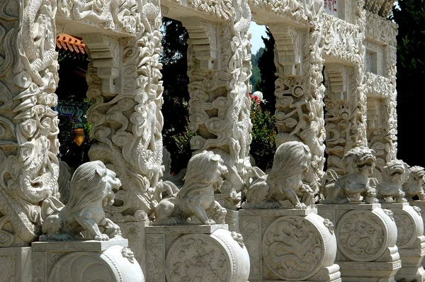 Kunming, China: Lion Gate at Anhui Garden — Stockfoto