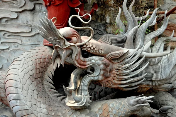 Mianyang, china: Sheng Shui Tempel geschnitzter Drache — Stockfoto