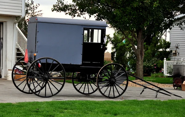 Bird-in-Hand, Pensilvânia: Amish Buggy — Fotografia de Stock