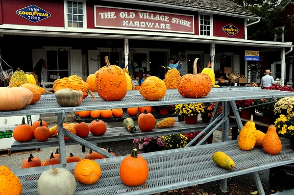Bird-in-Hand, Pensilvania: Decoraciones de otoño en la tienda de la aldea — Foto de Stock