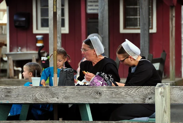Intercourse, Pennsylvania: Mennonite Women and Children — Stok fotoğraf