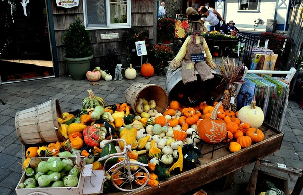 Intercourse, Pennsylvania: Pumpkin Display — Stock Photo, Image